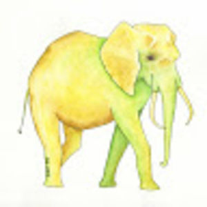 Meet your Posher, Alexandria